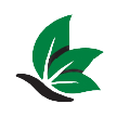 Butterfly clipart