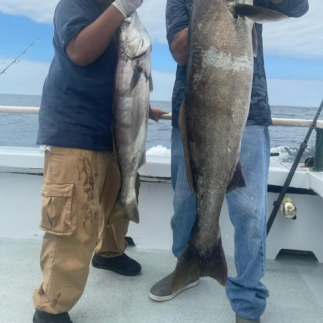 Channel Islands fishing 2
