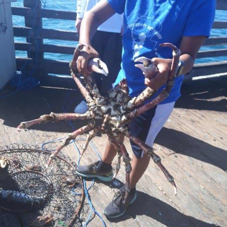Channel Islands fishing 4