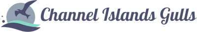 Channel Islands Gulls logo